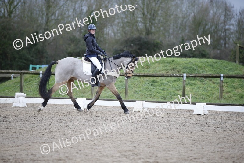 20260127-0385 - Class 17 - BD Novice 3