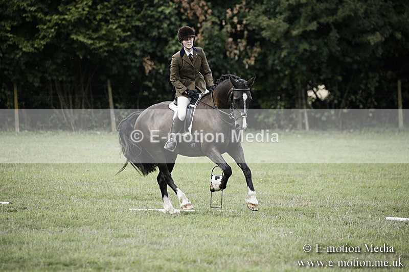 BVR090918 289 - BVRC Dressage and Show Jumping 09/09/18