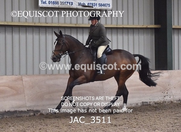 JAC_3511 - CLASS 9 BHS Scotland Riding Club Working Hunter Qualifier