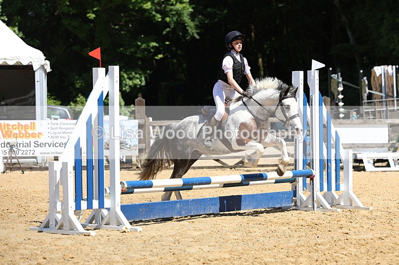 3E7A2389 - Class 4/5: 60cm Open Teams and Individuals