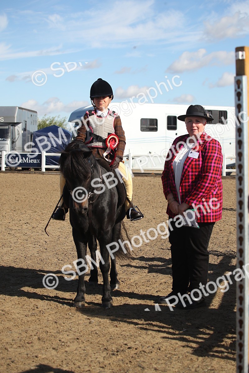 SBM_12697 - Class 504a - Junior Working Veterans - 40cm (15-19)