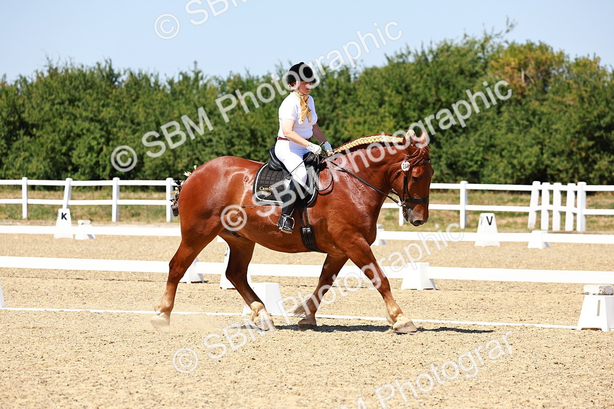 SBM_011801 - Intro 3 - 13.00-14.10