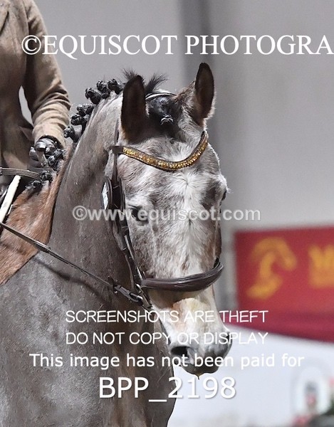 BPP_2198 - 20 - I COSH