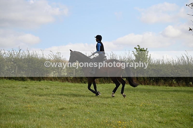 WJ6_7778 - Time 11:45 to 11:58