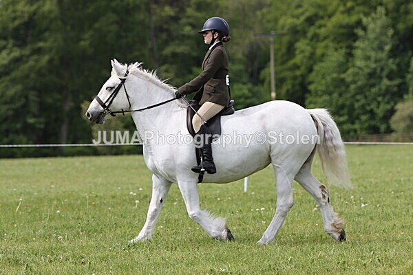 IMG_2702 - Working Hunter