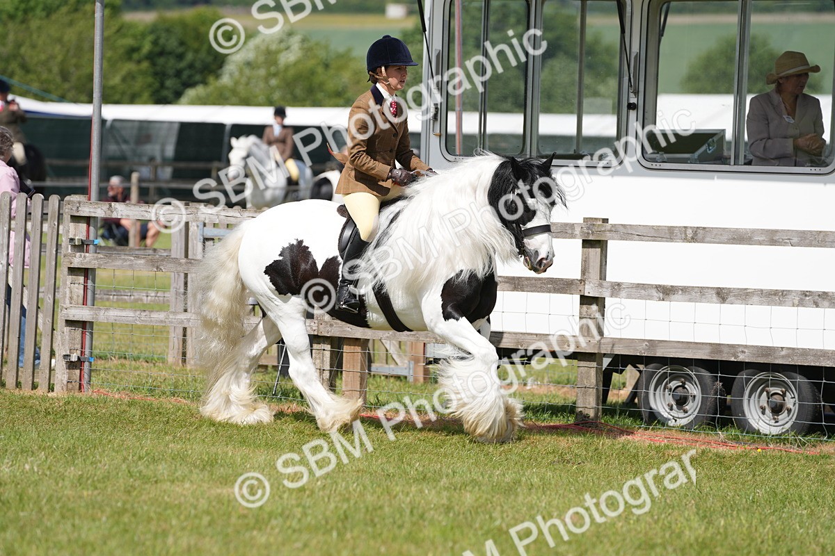 SBM_17129 - Class 107-108 - LIHS BSPS Performance Coloured Horse Pony