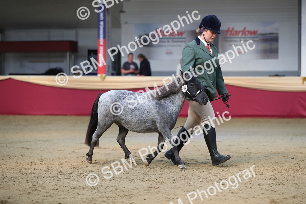 SBM_01348 - Class 3a Area IH Pre Vet
