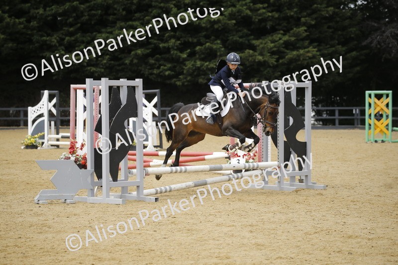 20250622-4732 - 50cm