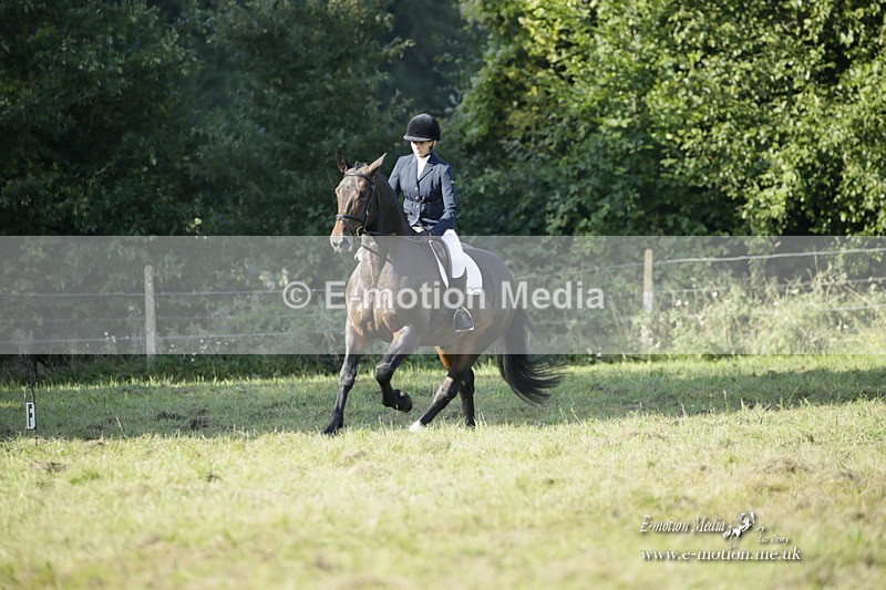BVRC 120921 140 - Bourne Valley Riding Club UA Dressage & Show Jumping 12/09/21