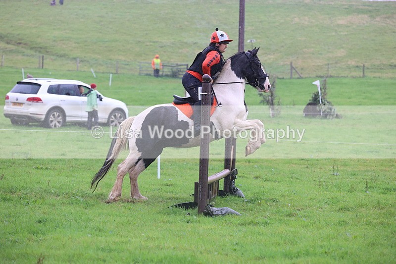 JPP_5130 - Class 1: 65cm : Showjumping