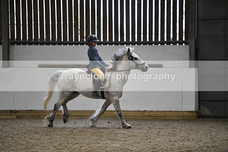WJ5_7919 - Class 13 Ridden Part Breed