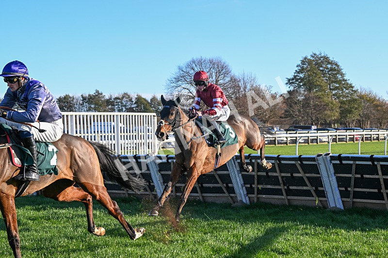 221124-Race 1-You Some Girl-4648 - Race 1