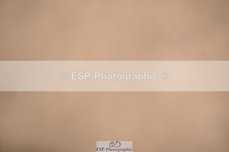 240323A-100609-01101 - MyQuest Prelim 12