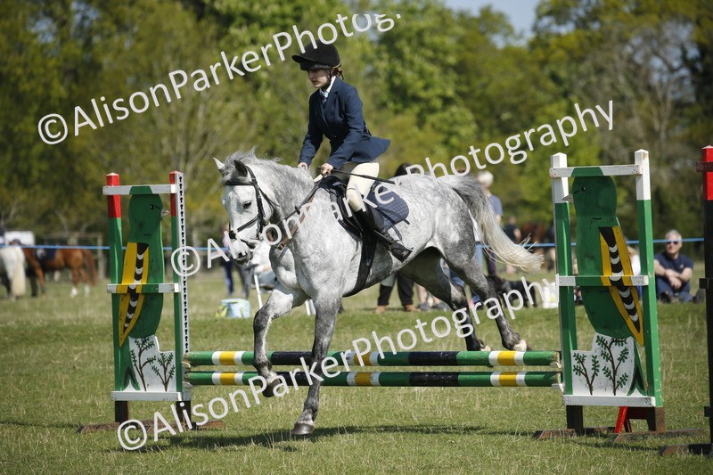 20250427-2169 - Class 13 - Novice Jumping 60cm