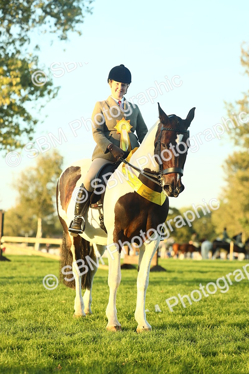 SBM_56529 - S14 - Riding Club Horse