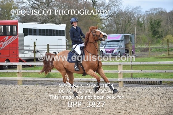 BPP_3827 - CLASS 3 Senior Discovery/ 1m Open