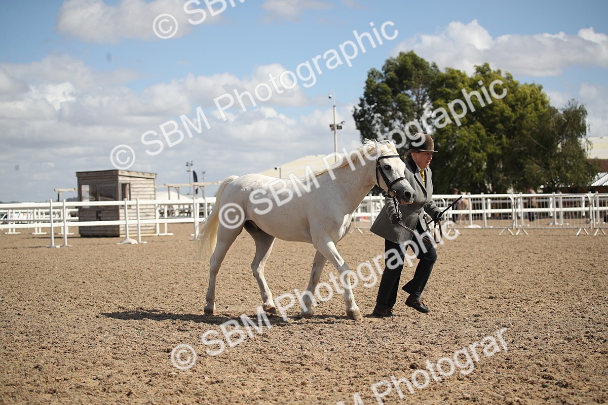 SBM_23546 - Class 605 - 2026 - Area - IH Veteran