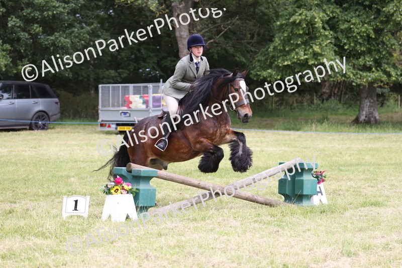 20260614-2917 - Class 22 - Open Working Hunter