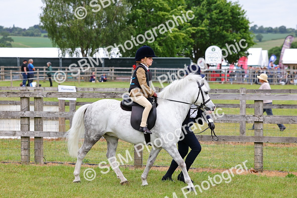 SBM_08084 - Class 42-43 - LIHS BSPS Heritage Working Sports Pony