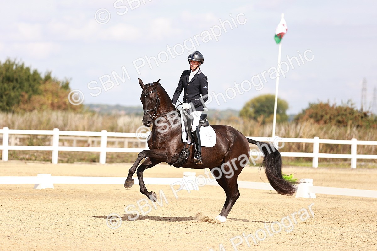 SBM_017628 - Class 11 - Advanced Medium 6