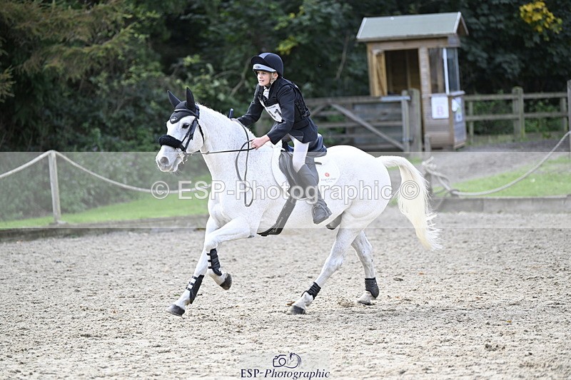 251005A-131017-04086 - Cls 08 Mini 70-75cm