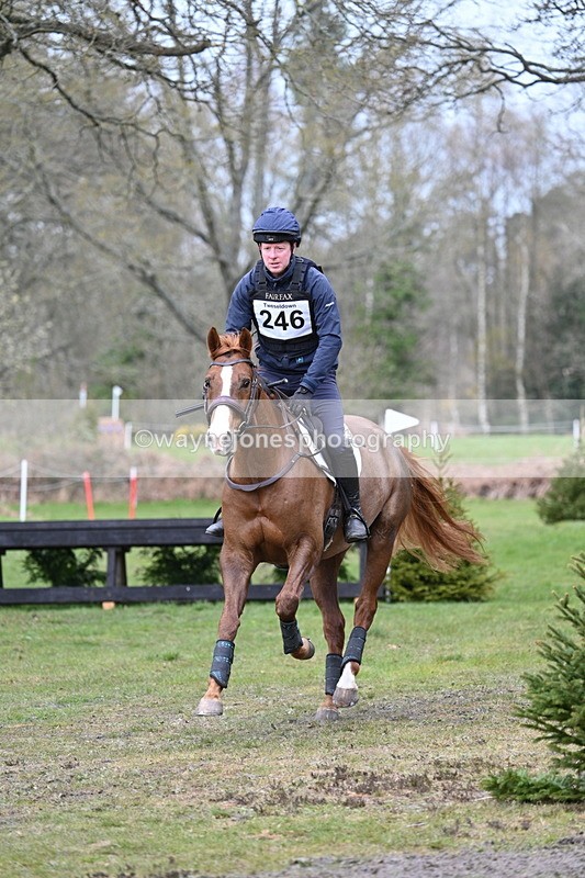 WJ7_2203 - Time 14:03 to 14:36