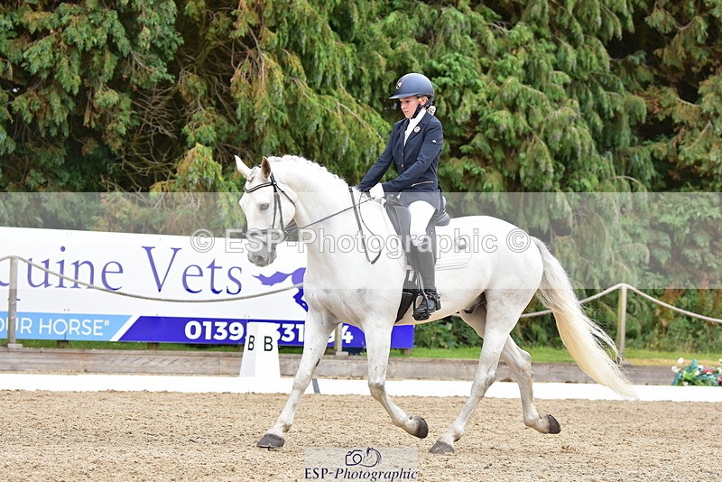 250719A-153242-06872 - 024-Neve.Moran-Clareville.Golden.Knight
