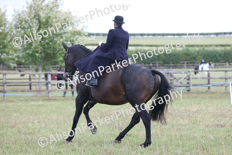 20250831-1202 - Class 15 - Ridden Veteran