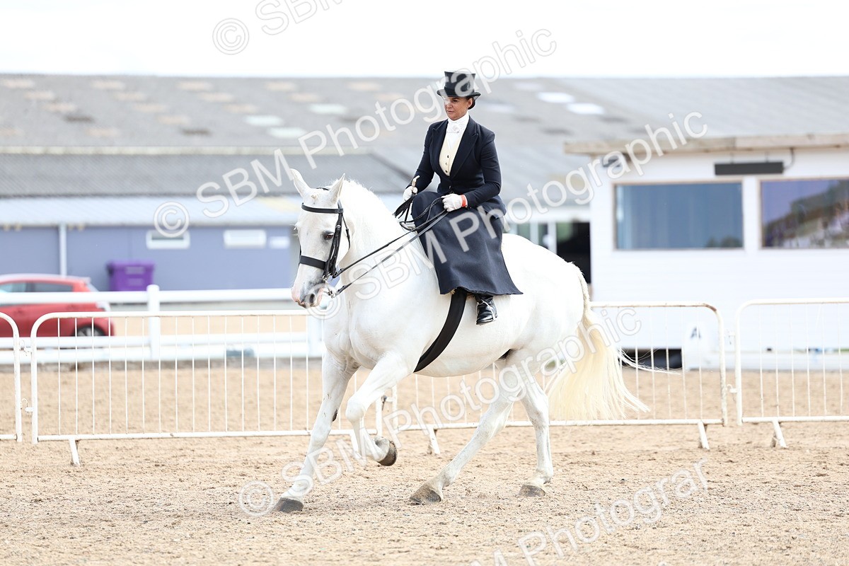 SBM_03434 - Class 24 - SSA Concours d'elegance (any age)