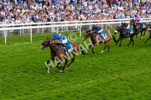 170623-Race 7-The Green Man-1014 - Race 7 5.25pm Clean Up With PPS Handicap