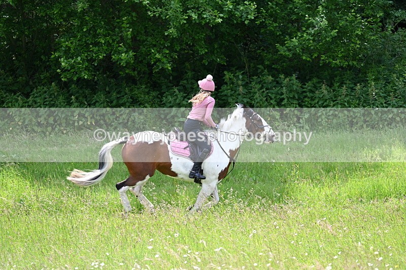 WJ7_8817 - Group 4 11am