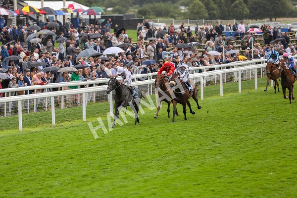 130724-Race 4-Alsakib-2061 - Race 4 3.45pm John Smith's Silver Cup Stakes