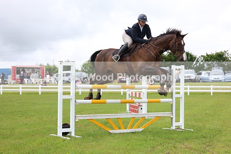 3E7A7076 - Class 12: Senior Foxhunter/1.20 open