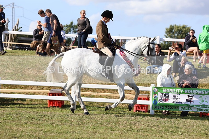 3E7A4261 - Supreme Championship