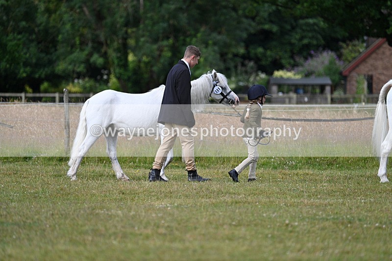 WJ7_4477 - Class 1 Lead Rein Pony