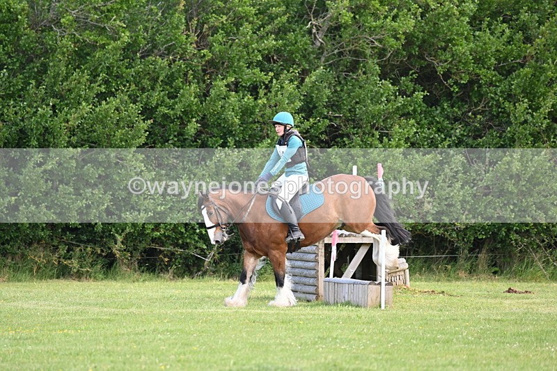 WJ6_2607 - Class 2 40cm