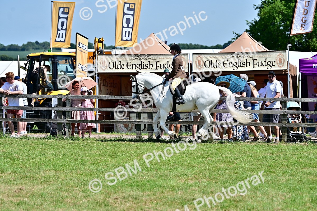 SBM_15344 - Class 95-97 - BSPS LHS Performance Ponies