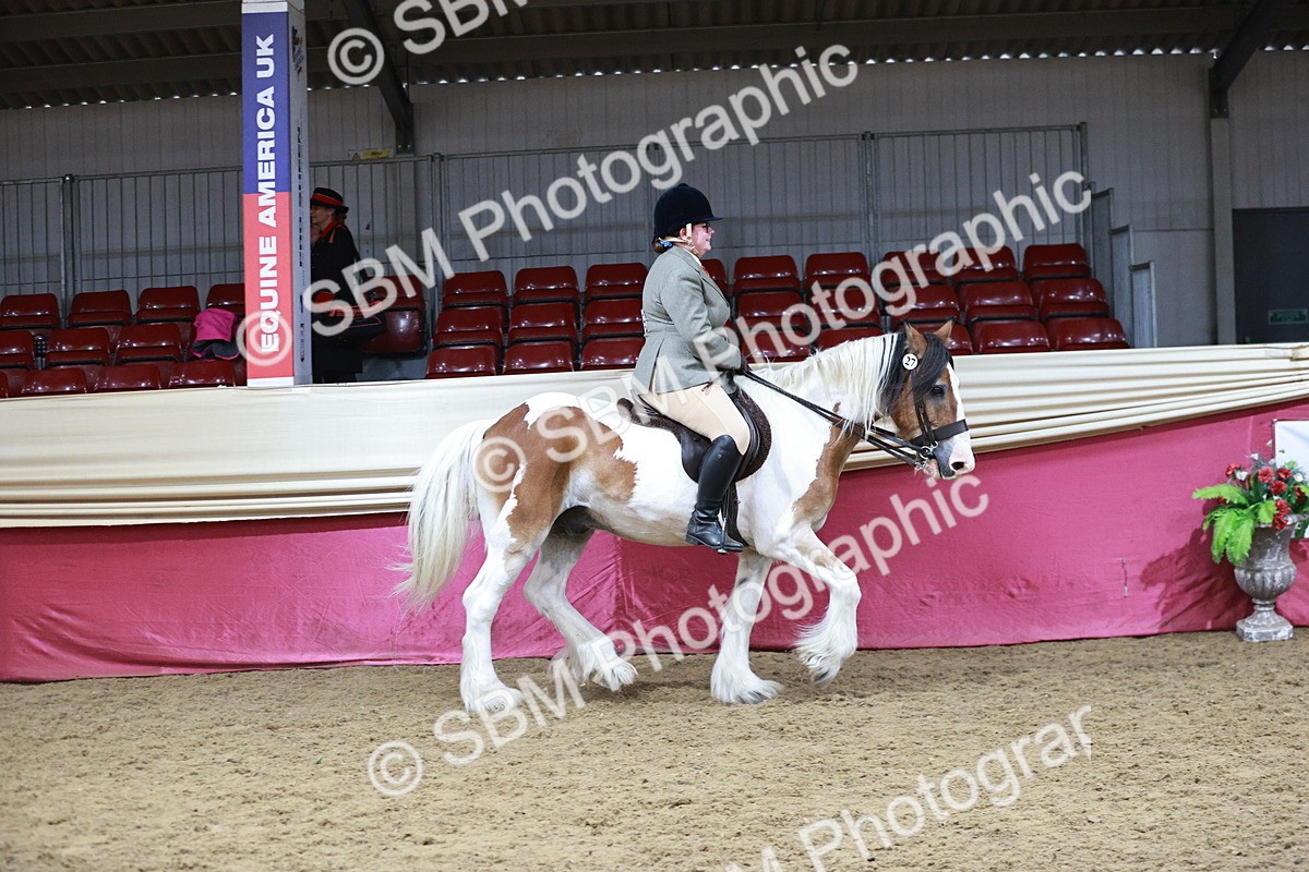 SBM_07314 - Class 10R - Regional Ridden Diamond