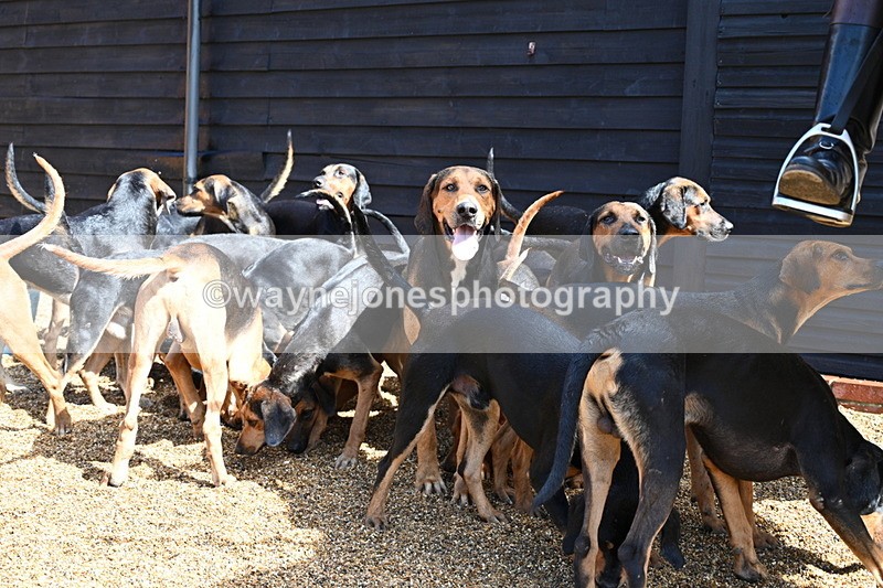 WJ7_7080 - Berks & Bucks at Blandy’s Farm 31-08-25