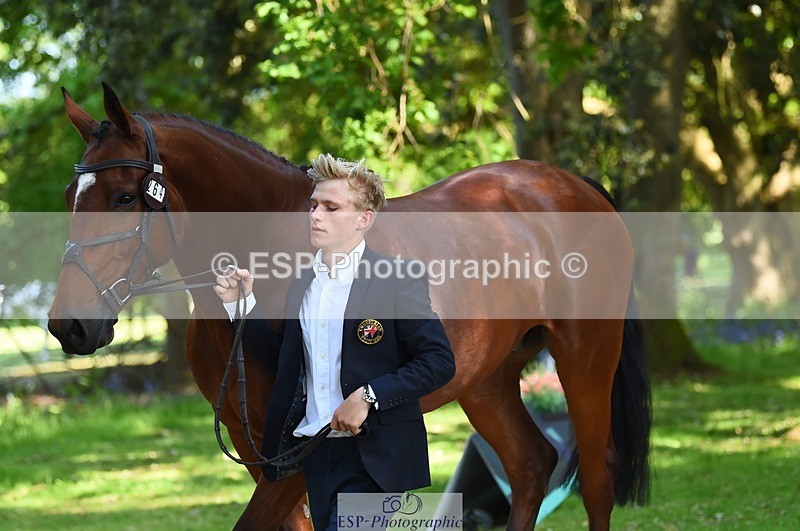 230524-160948-00728 - 264-BALLADEER_JUST_FOR_KICKS-Ellie_Healy-WEDTrotUp+DR