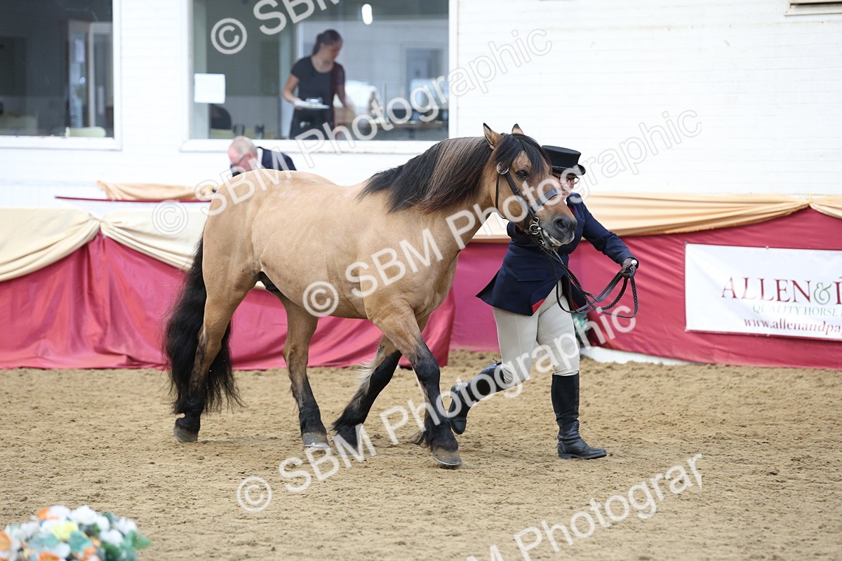SBM_24090 - Class 905 - Supreme Final - Ridden Veteran
