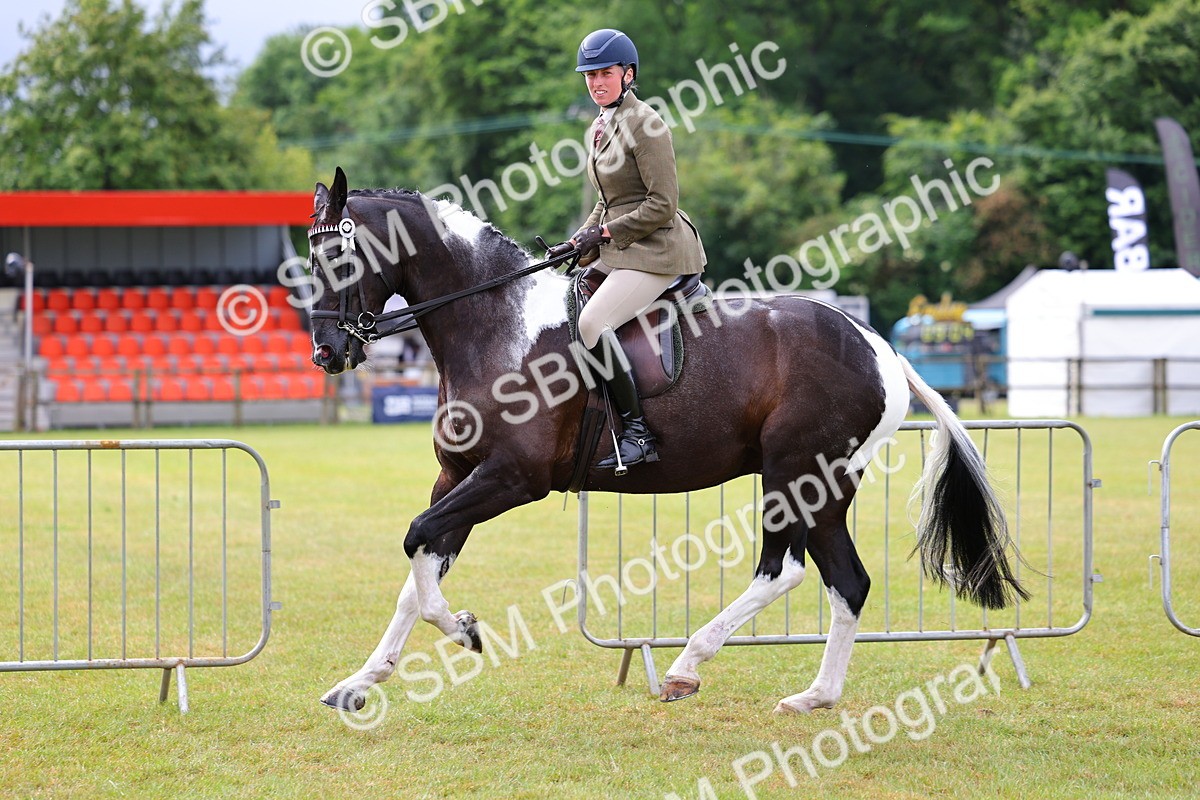 SBM_02518 - Class 9-11 Side Saddle including LIHS Rising Star Ladies Show Horse