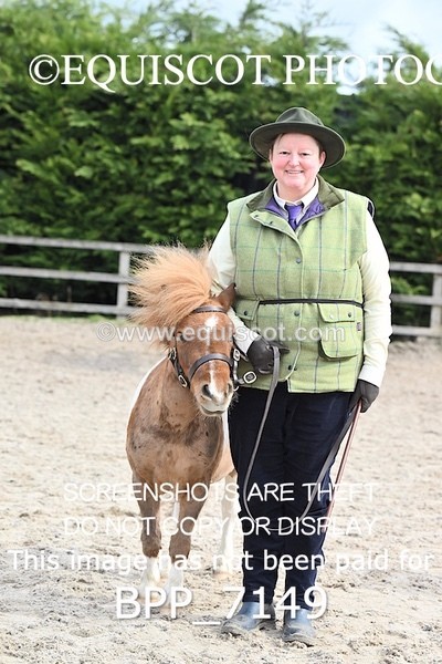 BPP_7149 - RING 1  (RIDDEN HORSES / IN HAND / VETERAN ETC)