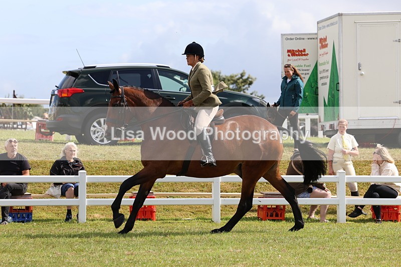 3E7A9364 - Class 4: Rising Star M/H Hunter