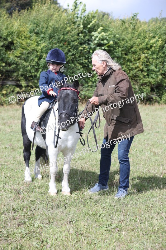 20250831-2765 - Class 17 - Lead Rein Pony