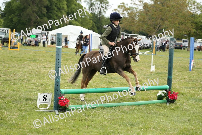 20250517-1120 - Class 21 - Novice Working Hunter