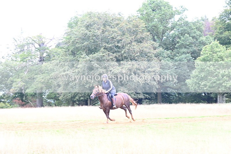 DSC_9768 - Time at Statue 15:11 to 15:58