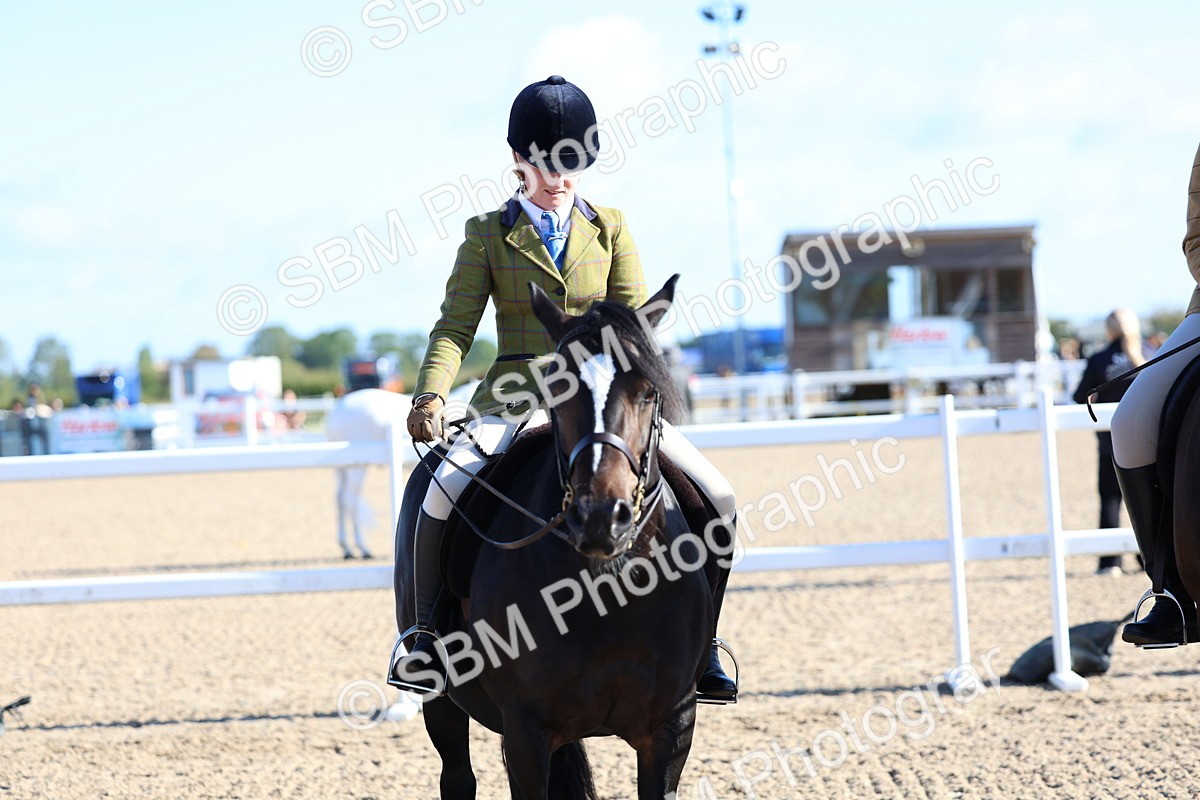 SBM_08856 - Class 302 - Ridden M&M - Large Breeds