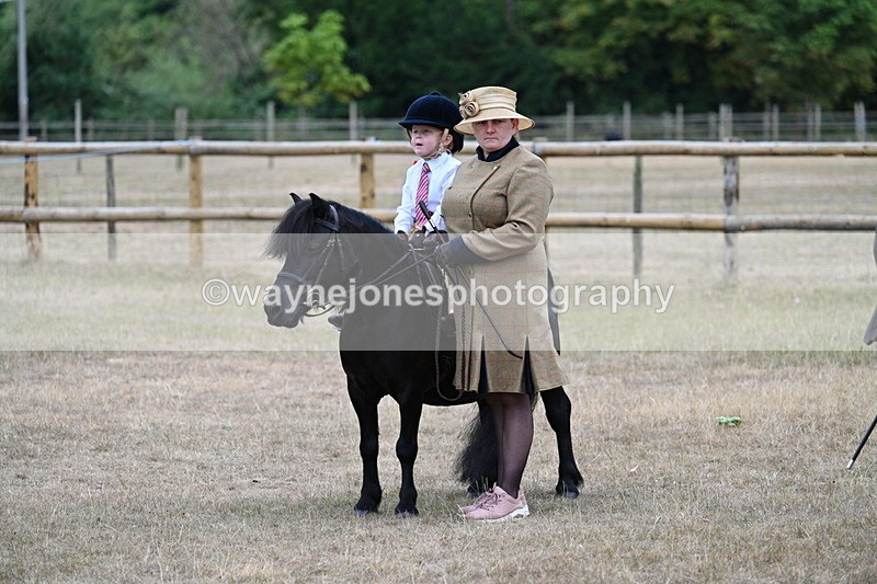 WJ7_8353 - Class 4 Prettiest Mare up to 14.2hh