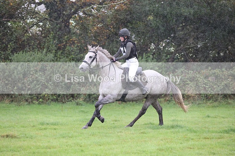 JPP_5411 - Class 4: 80cm: Crossed Logs